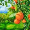 lilorangegrove
